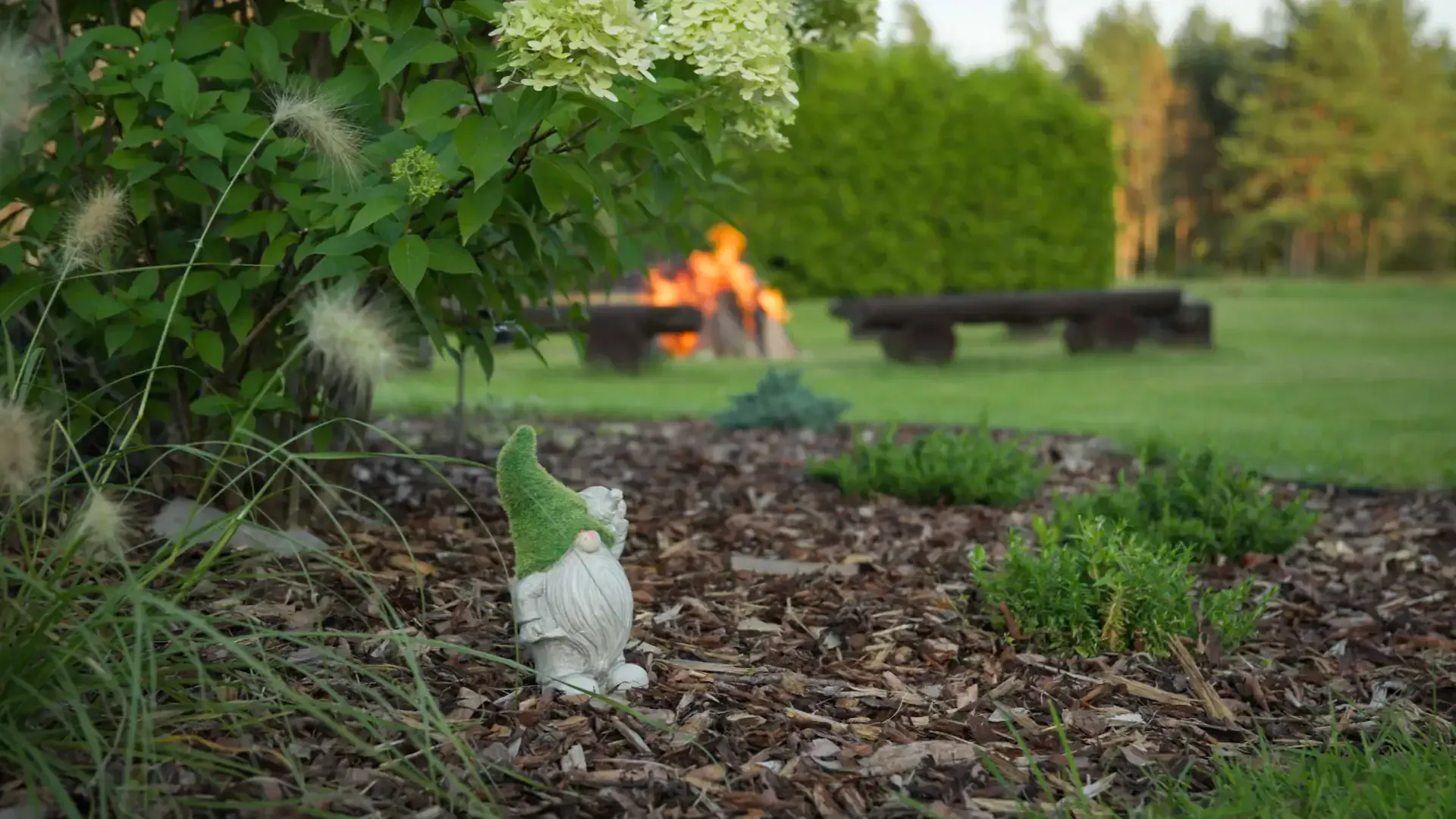 Purgaiļi values background