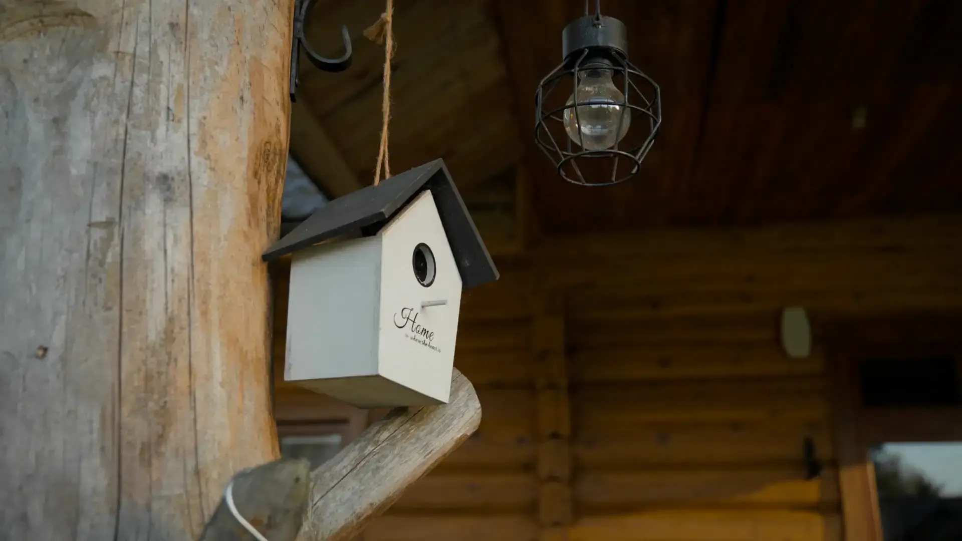 Фон CTA Purgaiļi